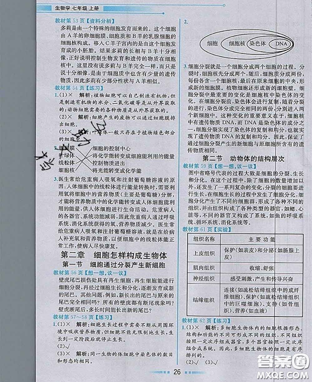 人民教育出版社2020秋課本教材七年級(jí)生物上冊(cè)人教版參考答案