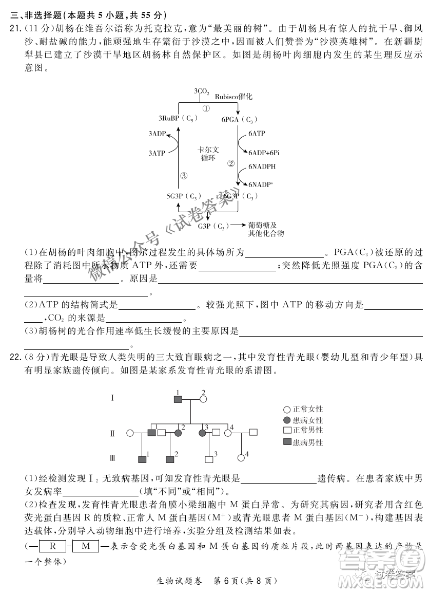 2021屆決勝新高考名校交流高三年級9月聯(lián)考生物試題及答案