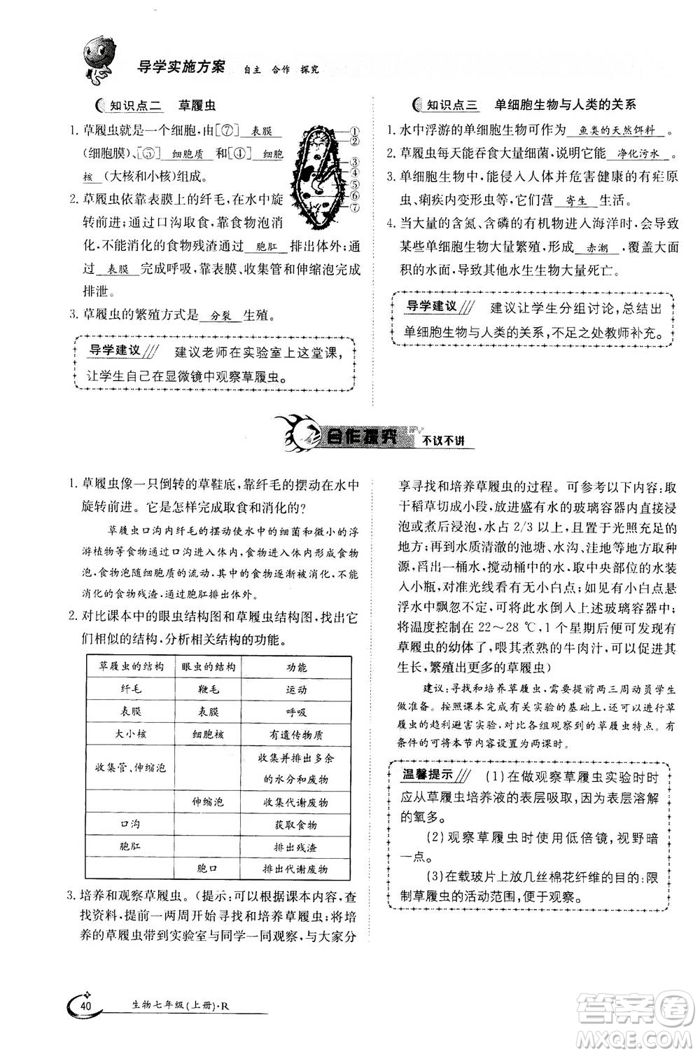 江西高校出版社2020年金太陽導學案生物七年級上冊人教版答案