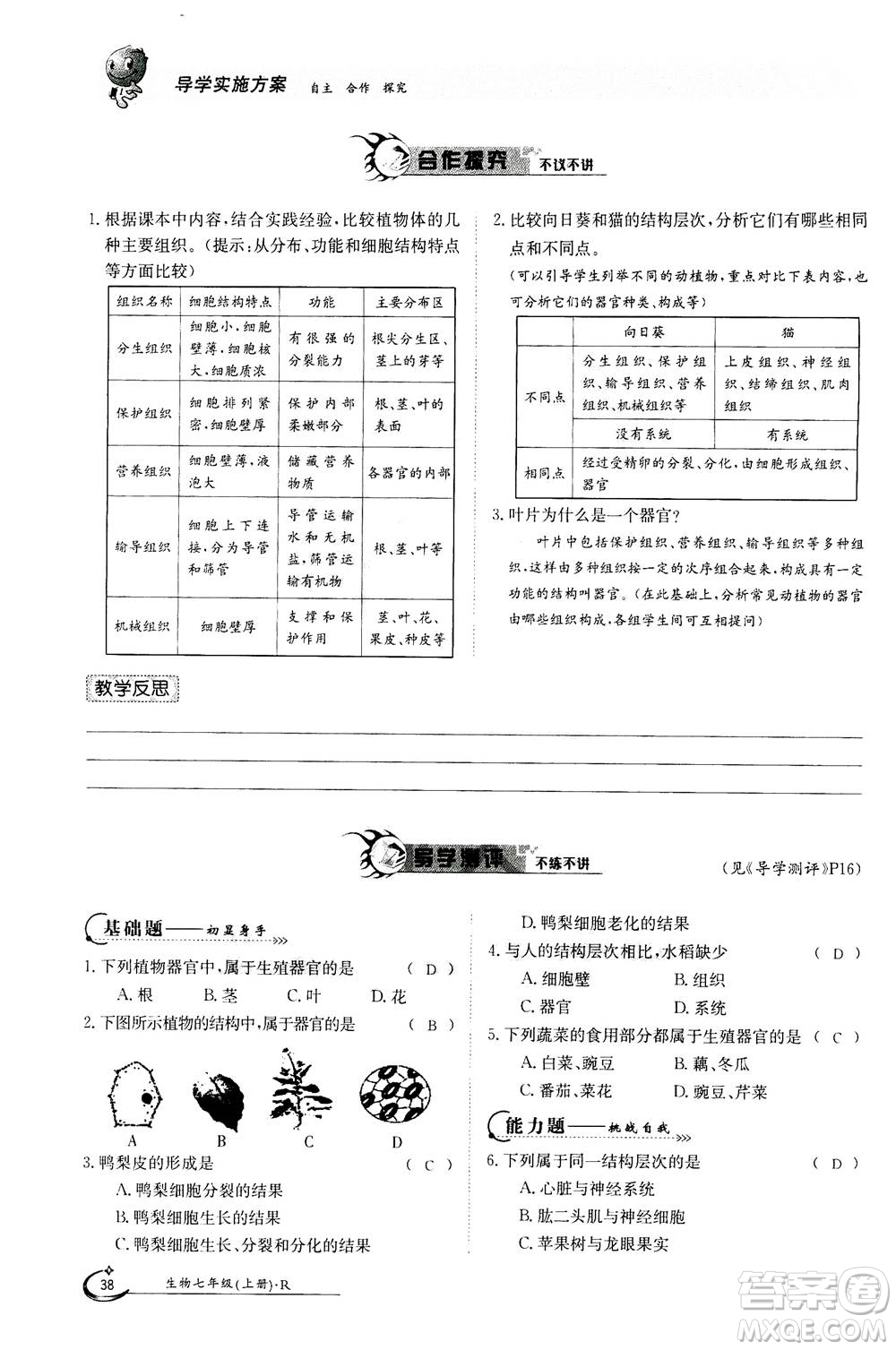 江西高校出版社2020年金太陽導學案生物七年級上冊人教版答案