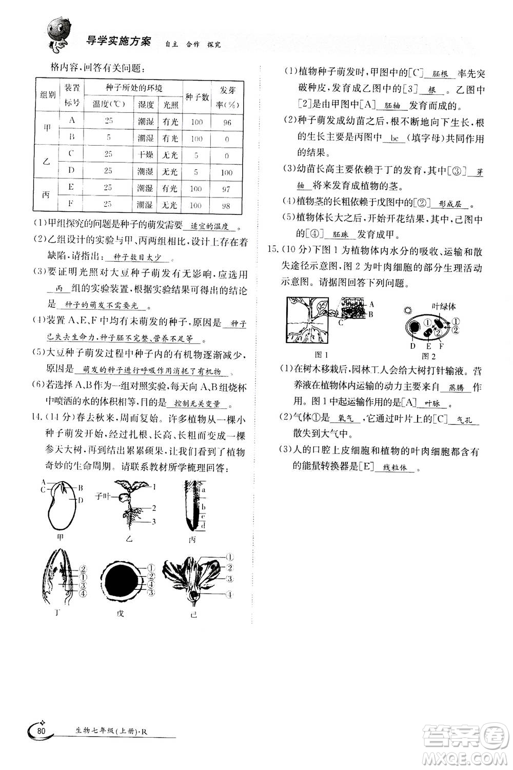 江西高校出版社2020年金太陽導學案生物七年級上冊人教版答案
