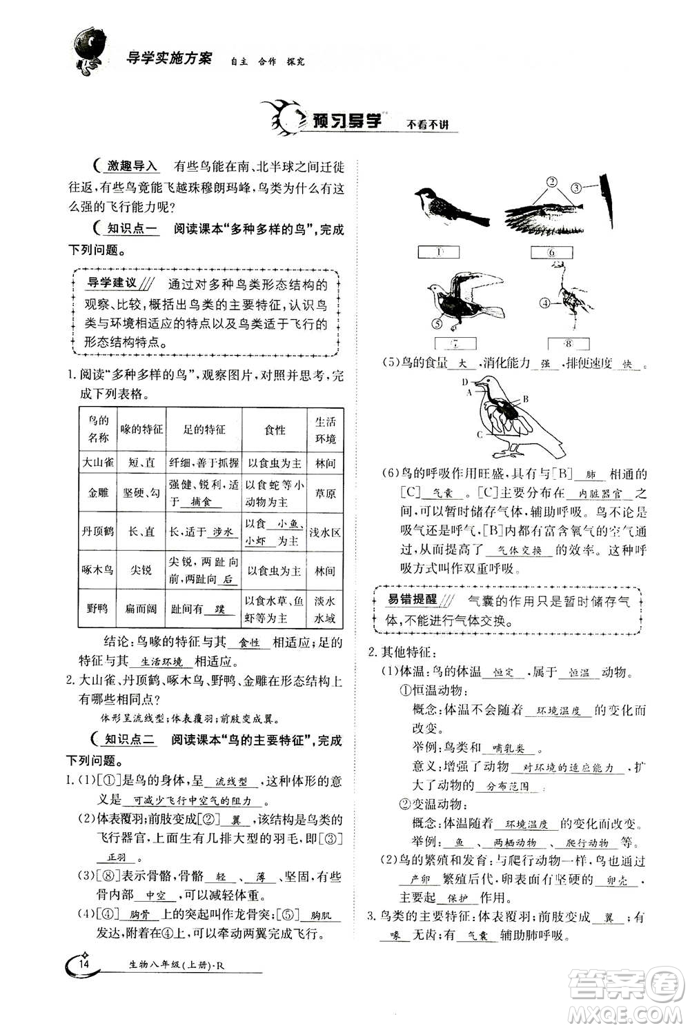 江西高校出版社2020年金太陽導(dǎo)學(xué)案生物八年級上冊人教版答案