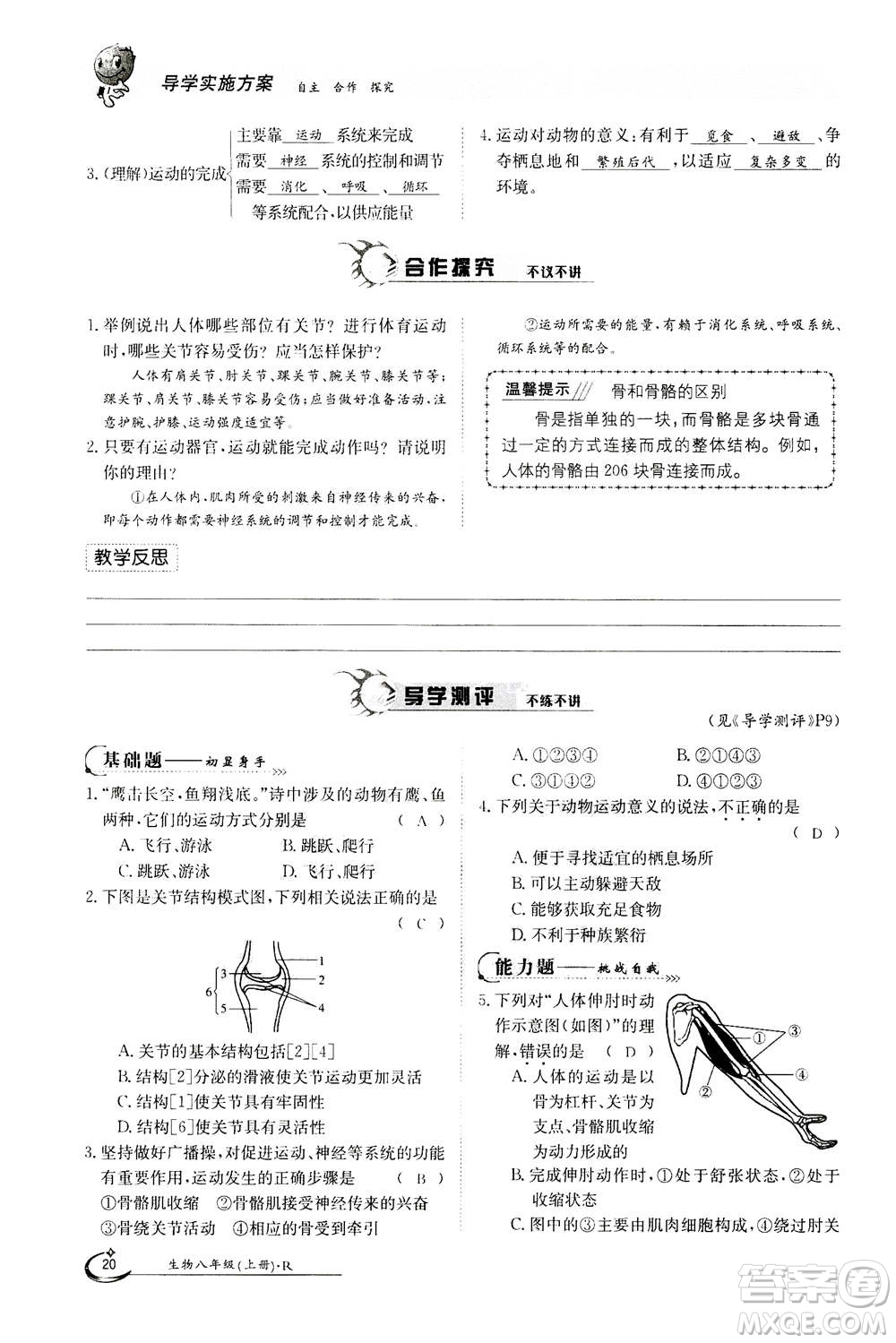 江西高校出版社2020年金太陽導(dǎo)學(xué)案生物八年級上冊人教版答案