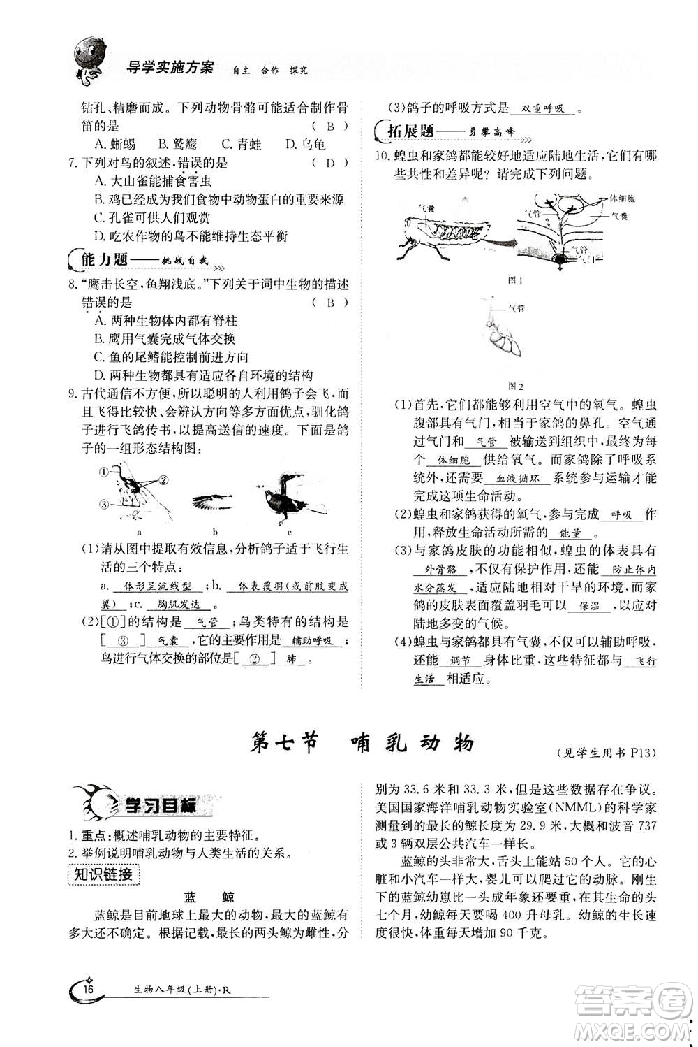 江西高校出版社2020年金太陽導(dǎo)學(xué)案生物八年級上冊人教版答案