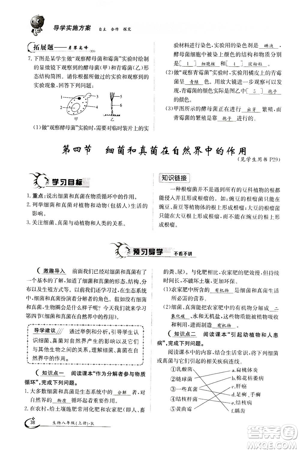 江西高校出版社2020年金太陽導(dǎo)學(xué)案生物八年級上冊人教版答案