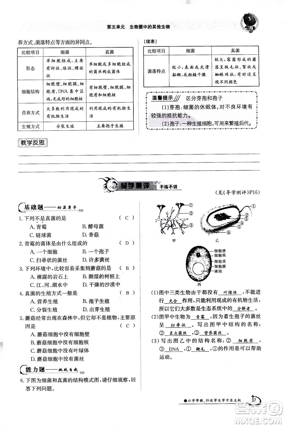 江西高校出版社2020年金太陽導(dǎo)學(xué)案生物八年級上冊人教版答案