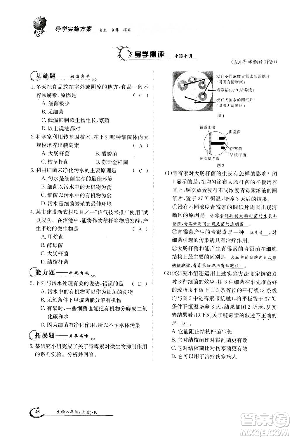 江西高校出版社2020年金太陽導(dǎo)學(xué)案生物八年級上冊人教版答案