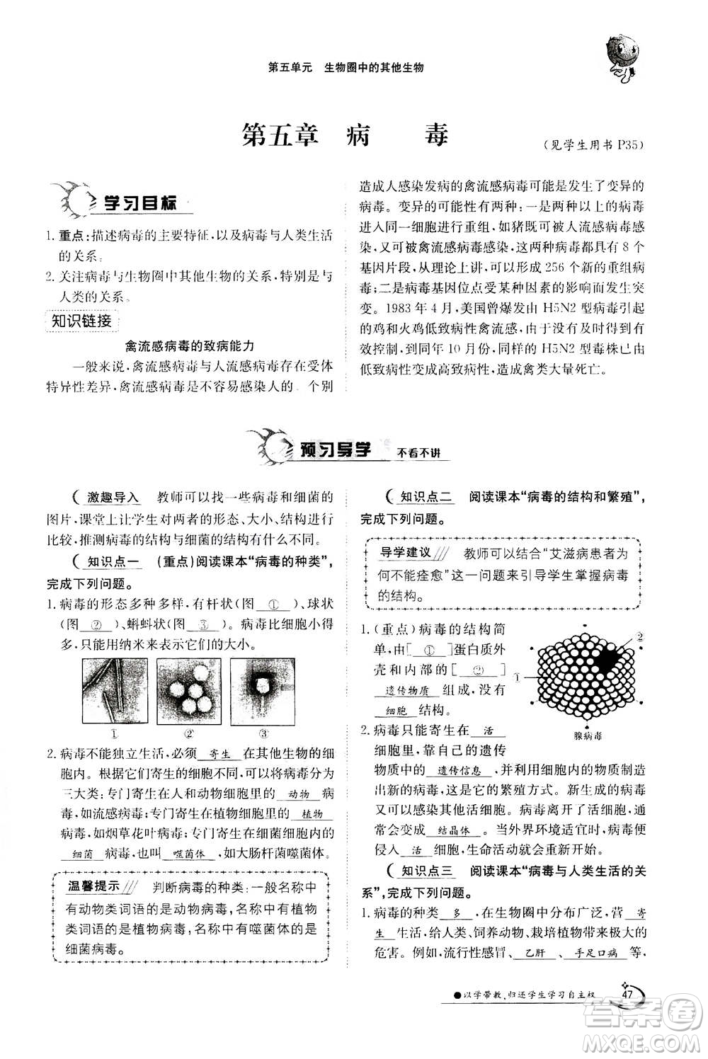 江西高校出版社2020年金太陽導(dǎo)學(xué)案生物八年級上冊人教版答案