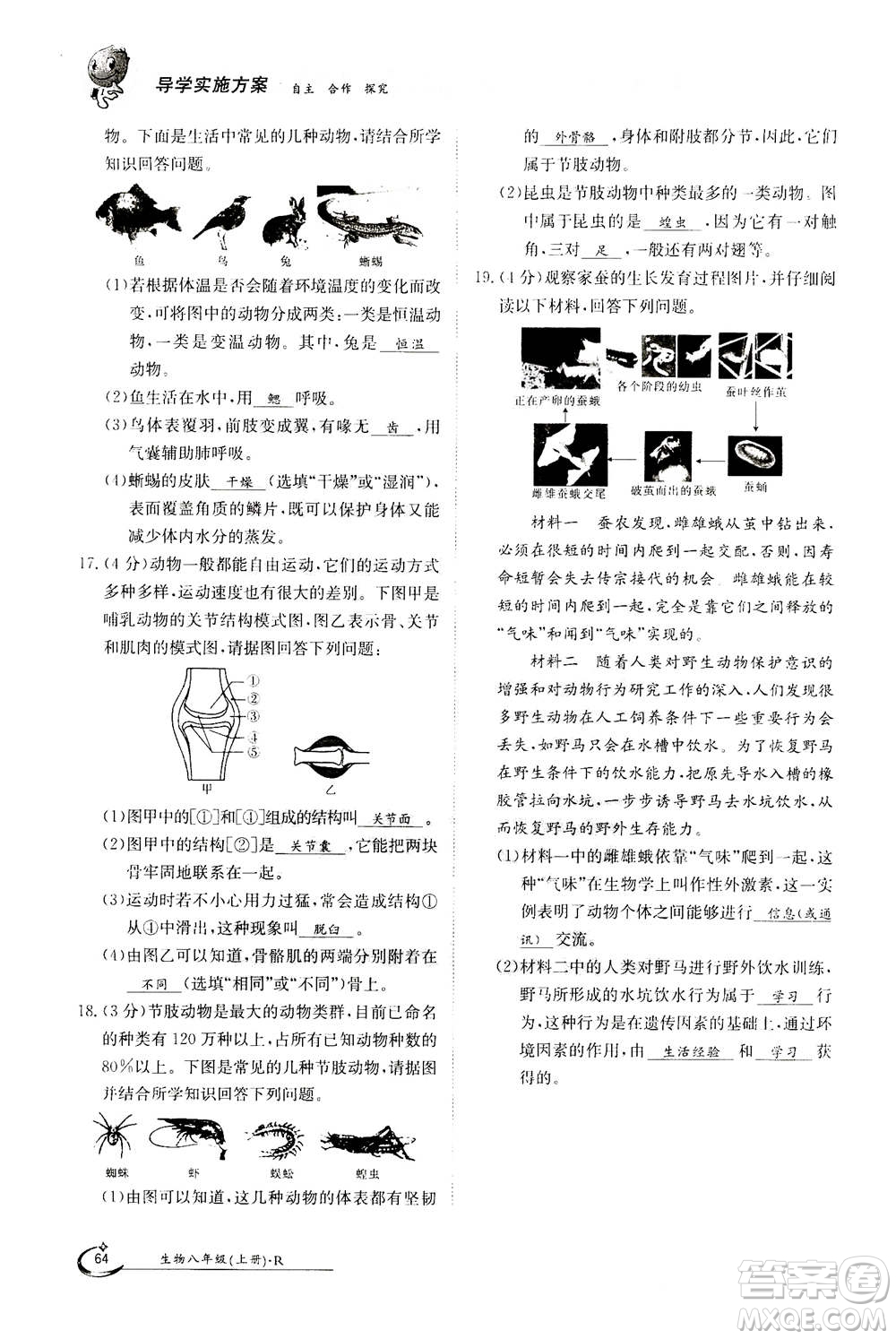 江西高校出版社2020年金太陽導(dǎo)學(xué)案生物八年級上冊人教版答案