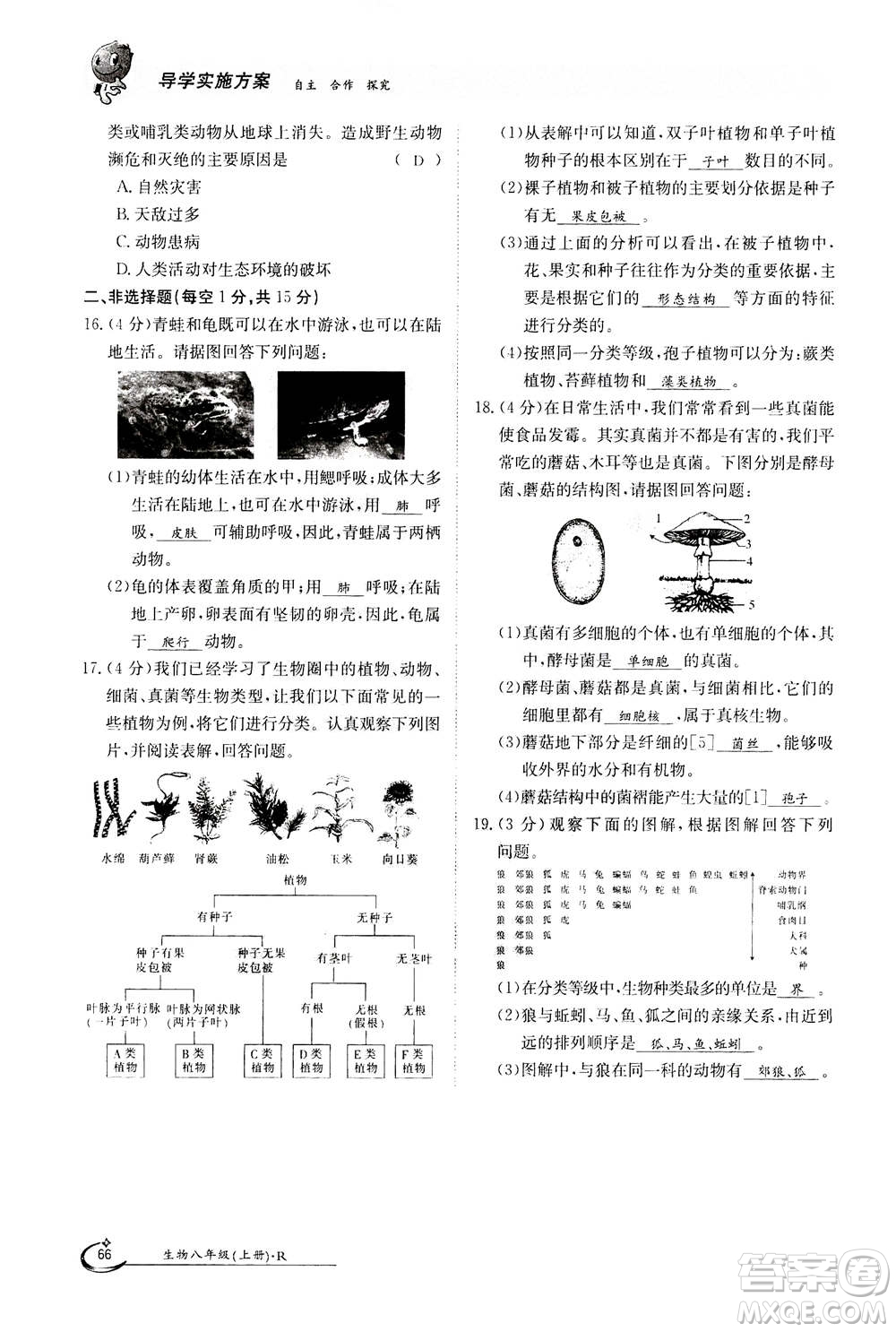 江西高校出版社2020年金太陽導(dǎo)學(xué)案生物八年級上冊人教版答案