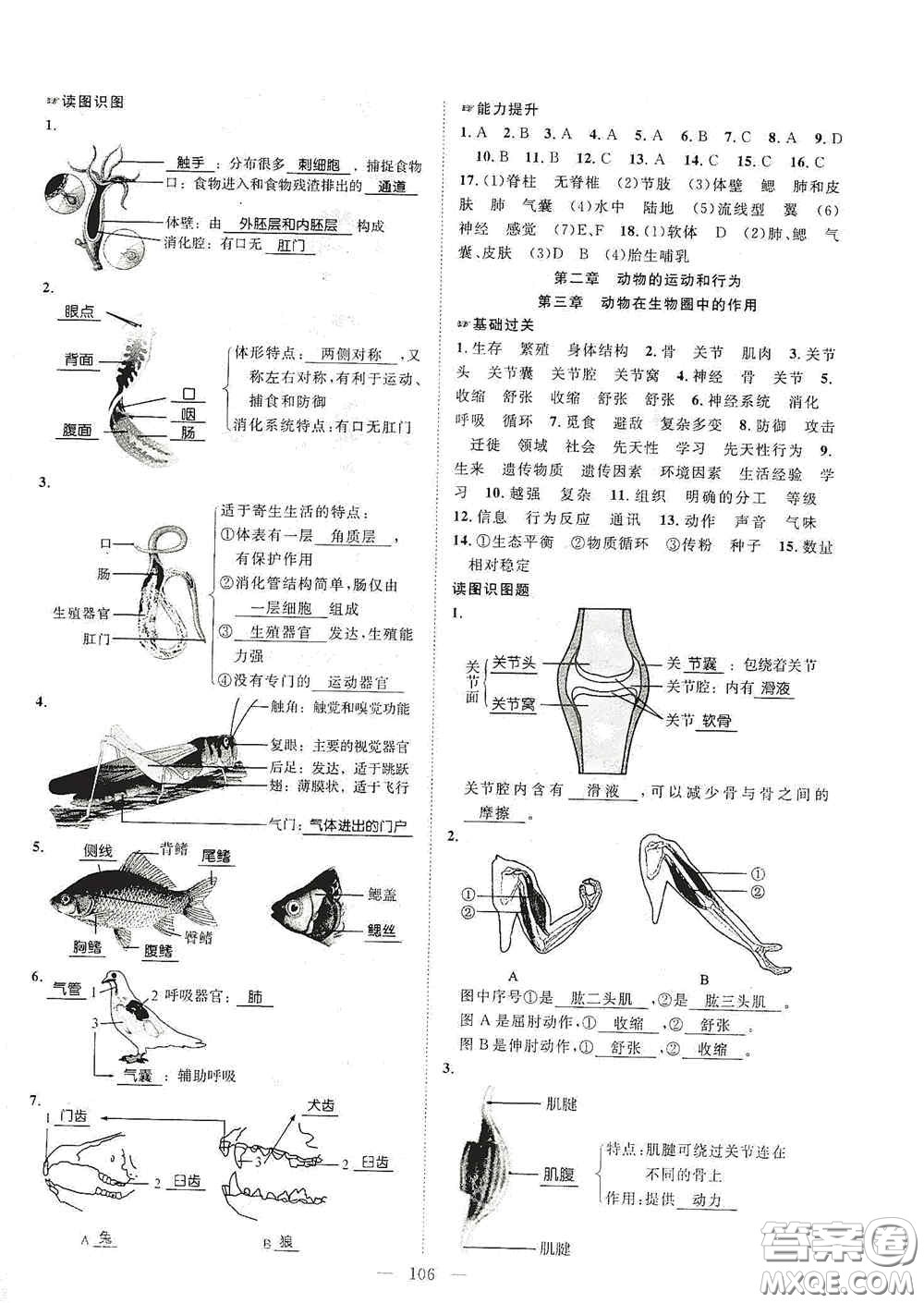 長江少年兒童出版社2020名師學案分層進階學習法八年級生物上冊答案