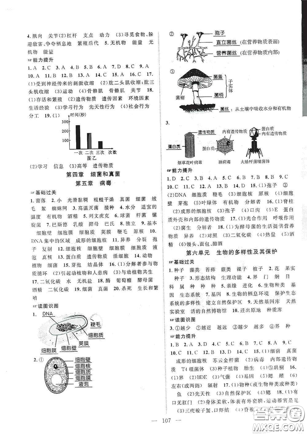長江少年兒童出版社2020名師學案分層進階學習法八年級生物上冊答案