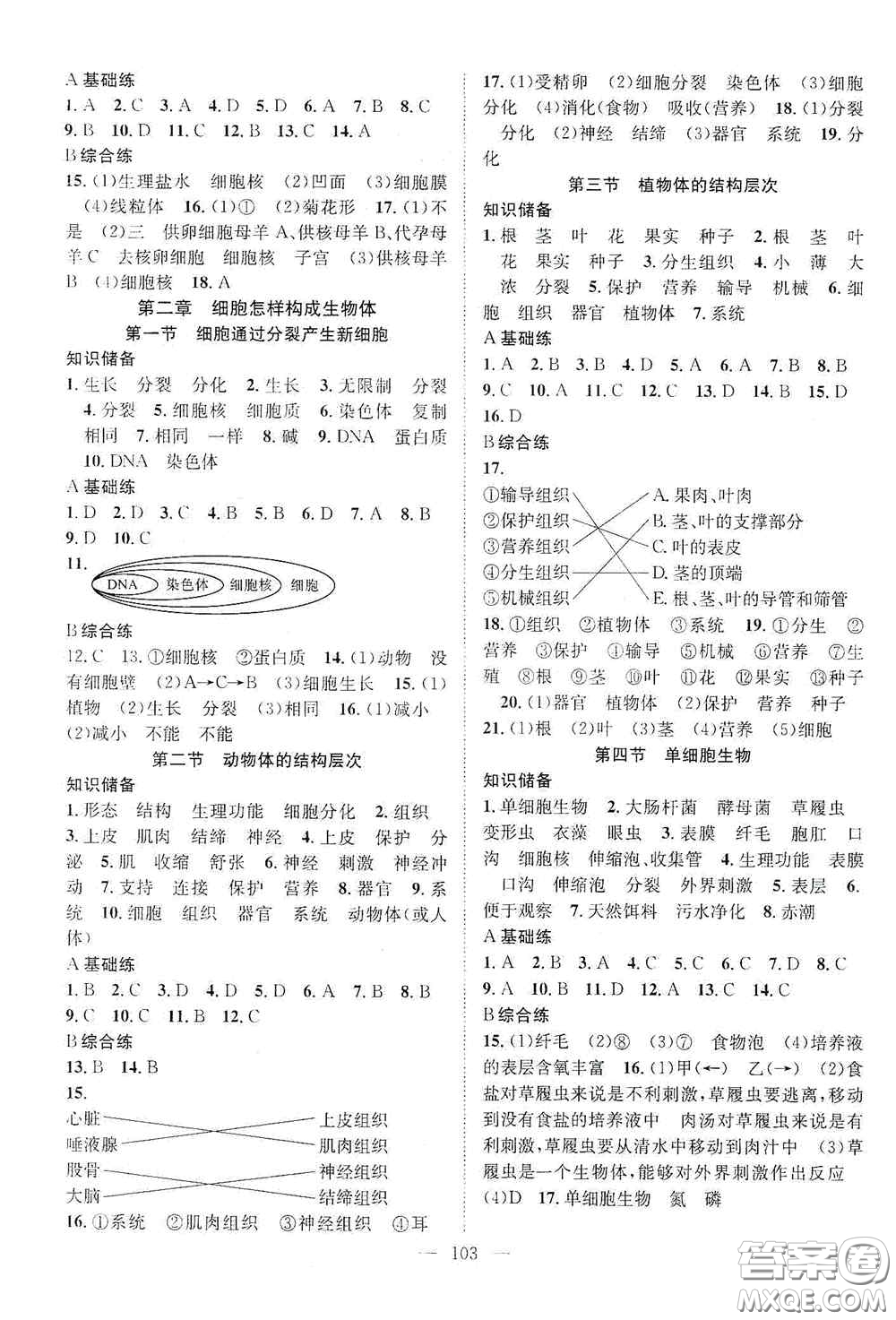 長江少年兒童出版社2020名師學案分層進階學習法七年級生物上冊答案