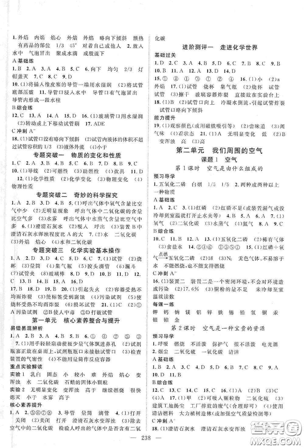 2020名師學案分層進階學習法化學九年級全一冊答案