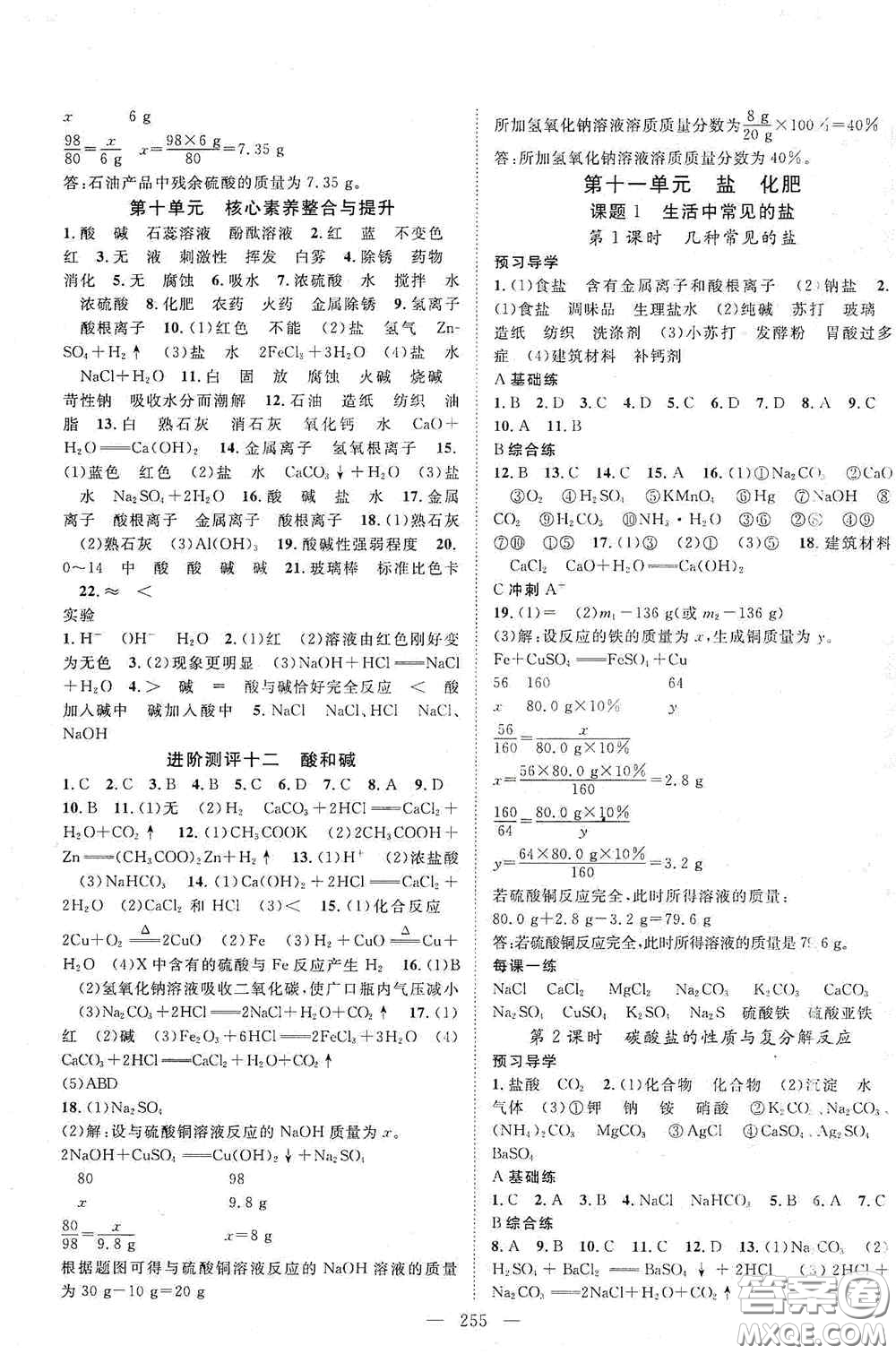 2020名師學案分層進階學習法化學九年級全一冊答案