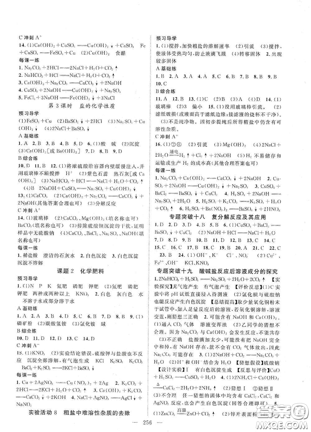 2020名師學案分層進階學習法化學九年級全一冊答案