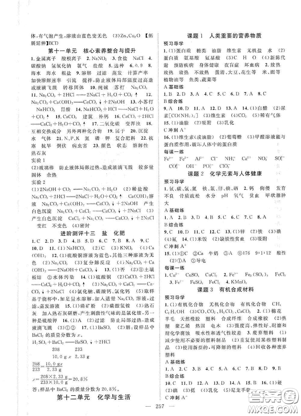 2020名師學案分層進階學習法化學九年級全一冊答案