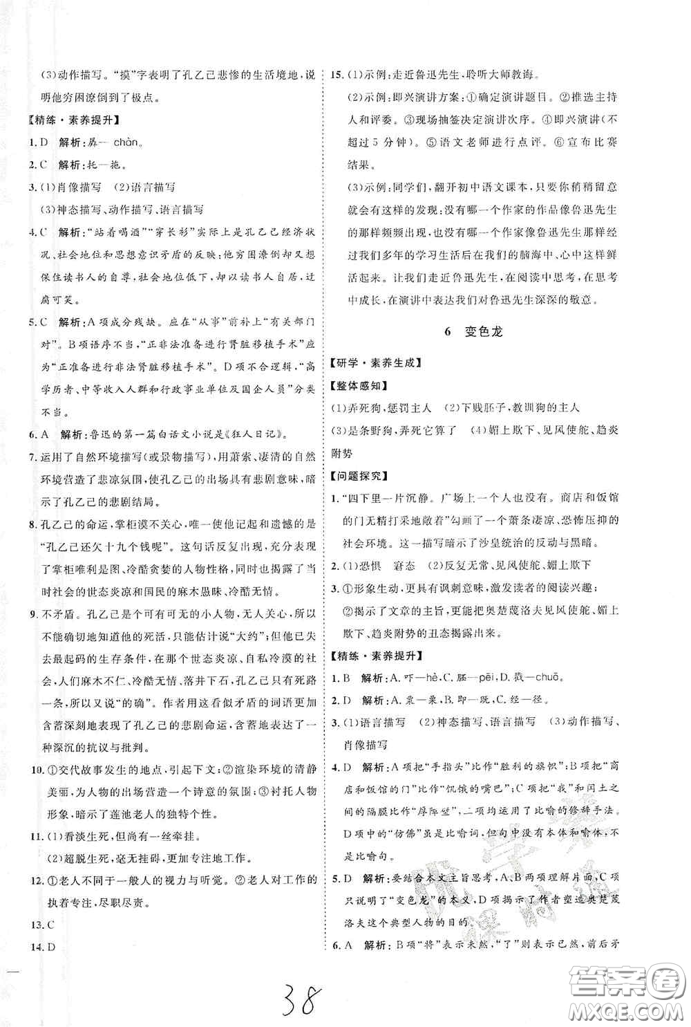延邊教育出版社2020優(yōu)學(xué)案課時(shí)通九年級(jí)語文全一冊(cè)人教版云南專用答案