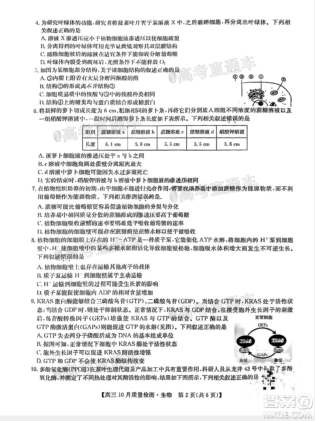 九師聯(lián)盟2020-2021學(xué)年高三10月質(zhì)量檢測生物試題及答案
