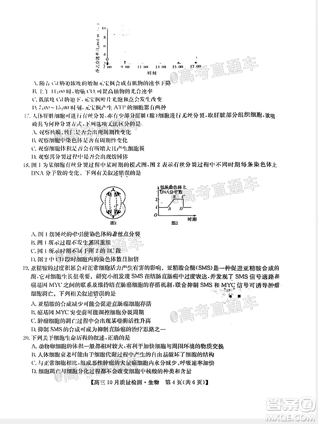九師聯(lián)盟2020-2021學(xué)年高三10月質(zhì)量檢測生物試題及答案