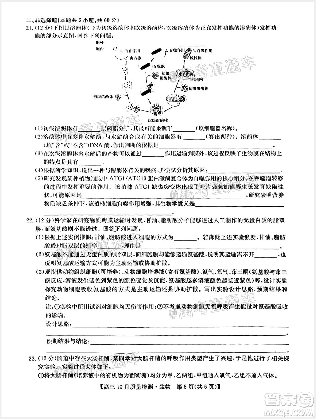 九師聯(lián)盟2020-2021學(xué)年高三10月質(zhì)量檢測生物試題及答案
