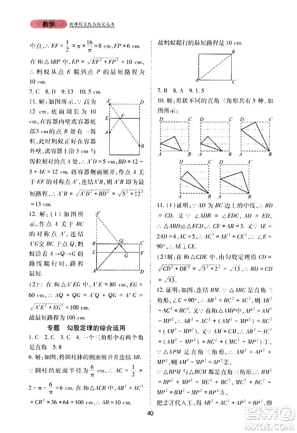 四川教育出版社2020年新課程實(shí)踐與探究叢書數(shù)學(xué)八年級上冊華東師大版答案