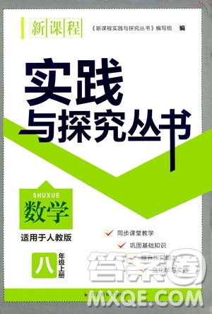 四川教育出版社2020年新課程實(shí)踐與探究叢書(shū)數(shù)學(xué)八年級(jí)上冊(cè)人教版答案