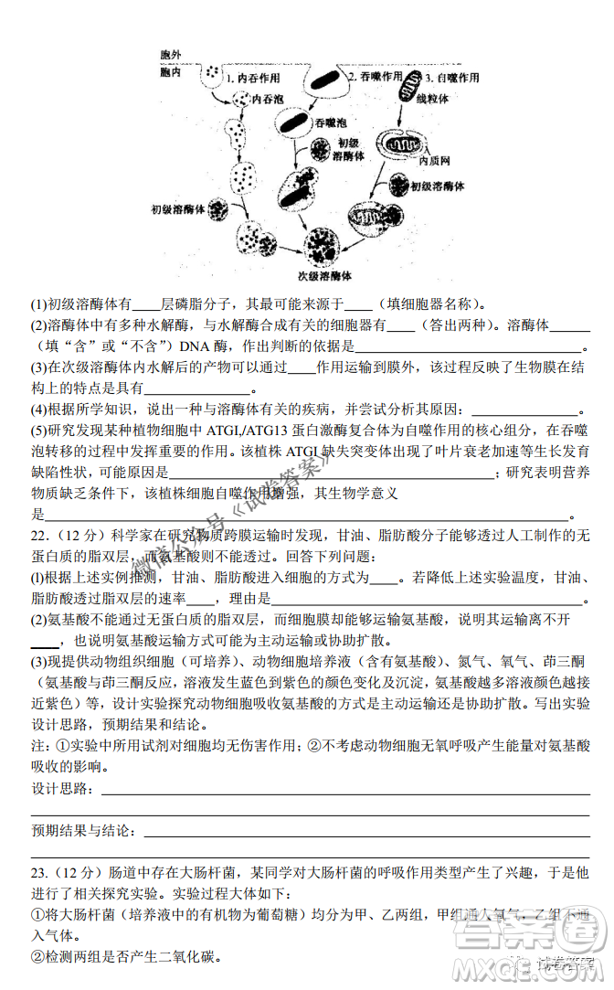 河南省名校聯(lián)盟2021屆高三10月質(zhì)量檢測生物試題及答案