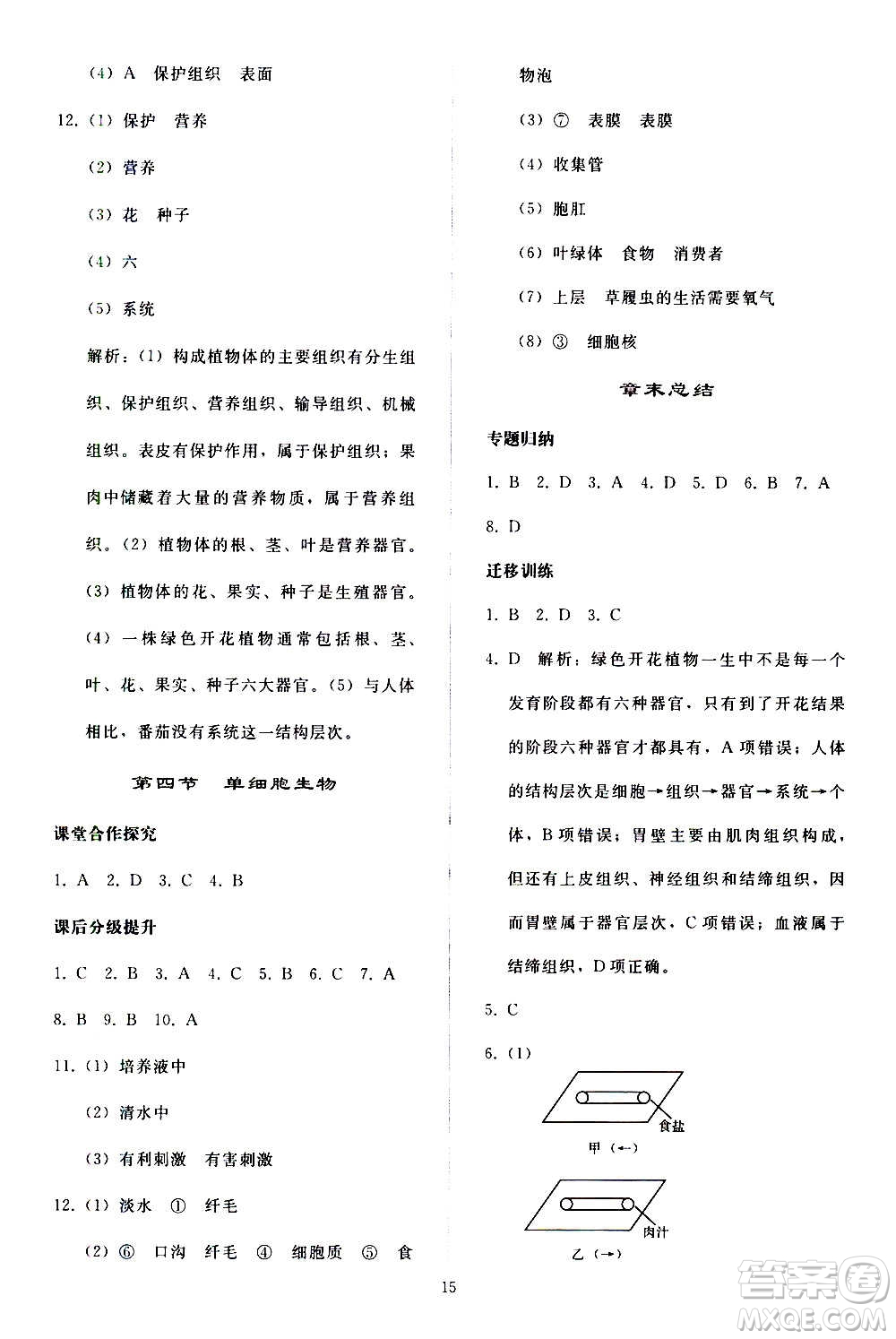 人民教育出版社2020秋同步輕松練習生物學七年級上冊人教版答案
