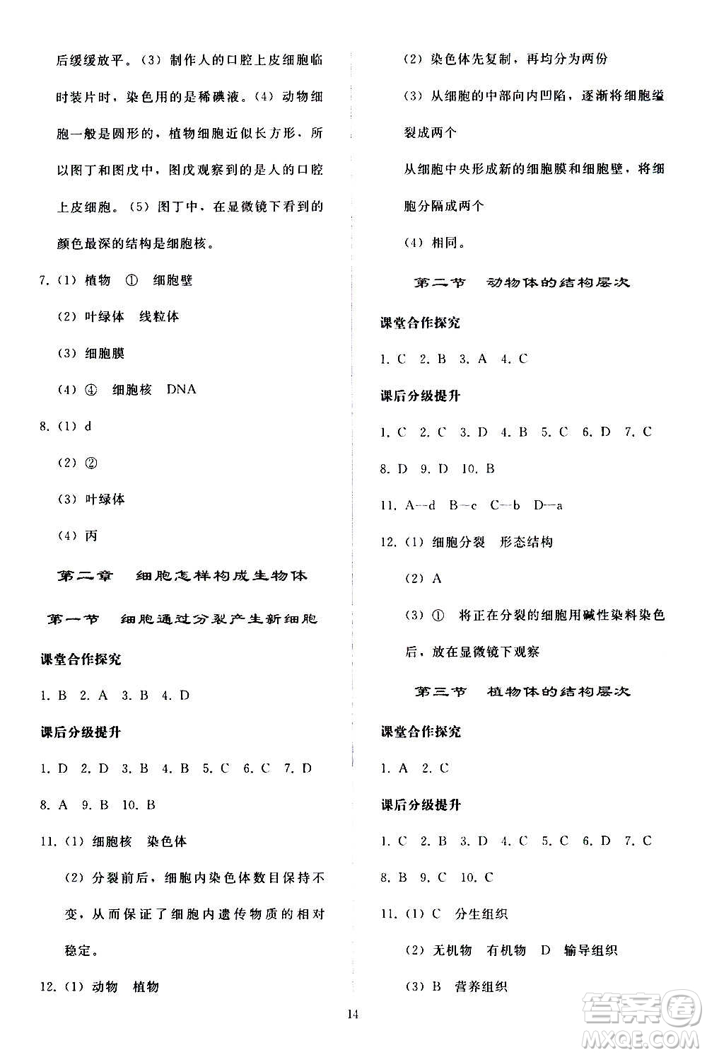 人民教育出版社2020秋同步輕松練習生物學七年級上冊人教版答案