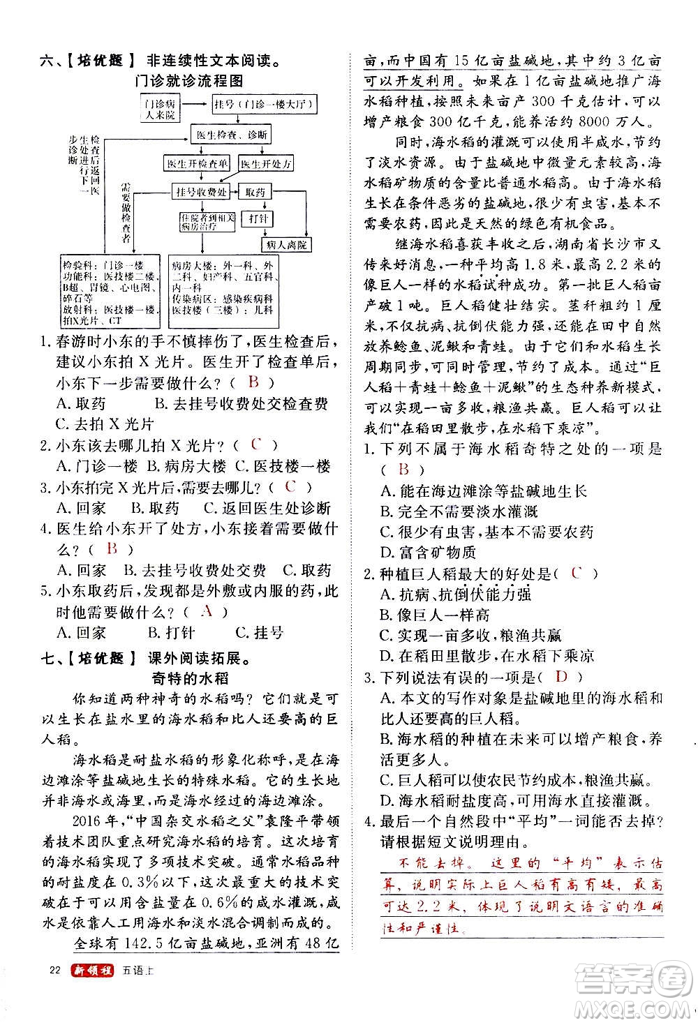 延邊大學(xué)出版社2020年新領(lǐng)程語文五年級(jí)上冊(cè)人教版答案