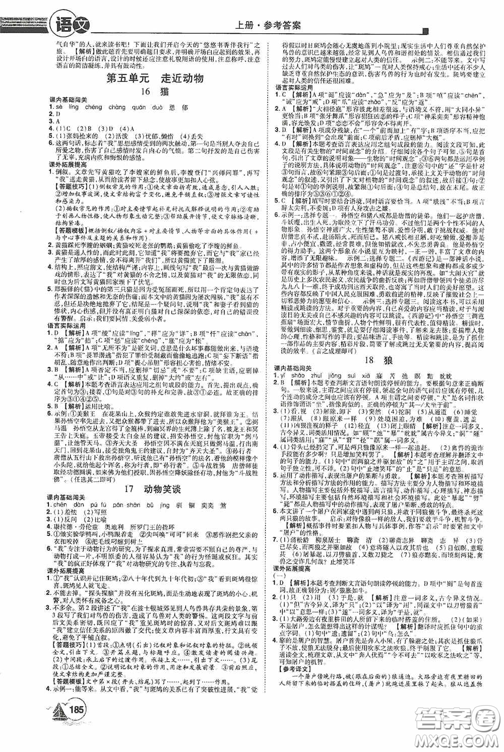 江西美術(shù)出版社2020學(xué)海風(fēng)暴七年級(jí)語文上冊(cè)人教版答案