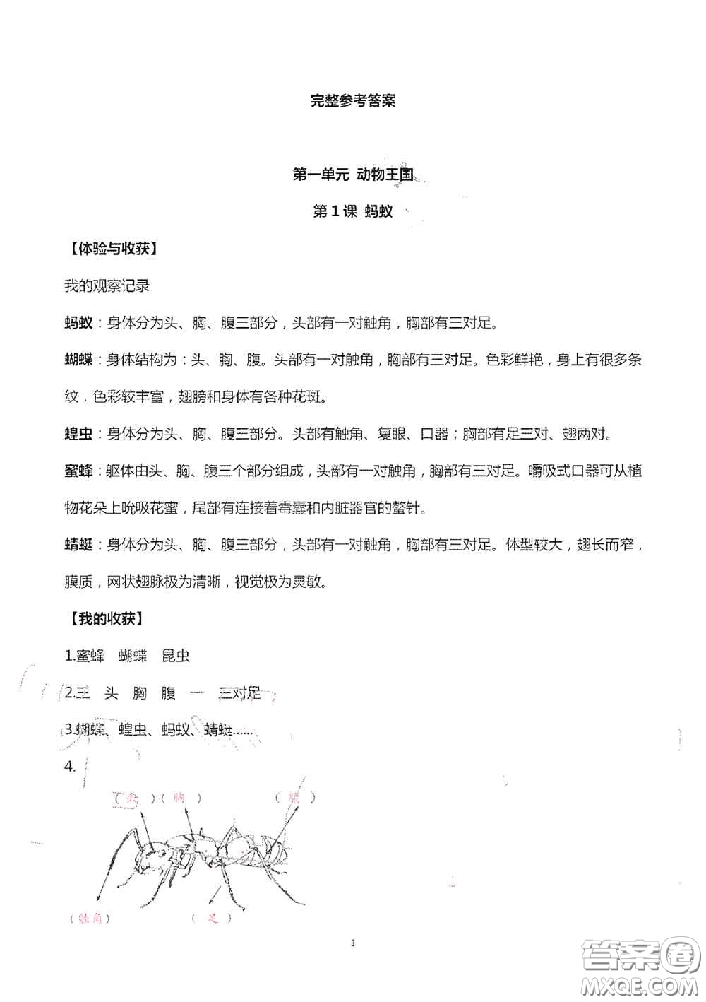 山東美術(shù)出版社2020新課堂同步體驗(yàn)與探究四年級(jí)科學(xué)上學(xué)期人教版答案