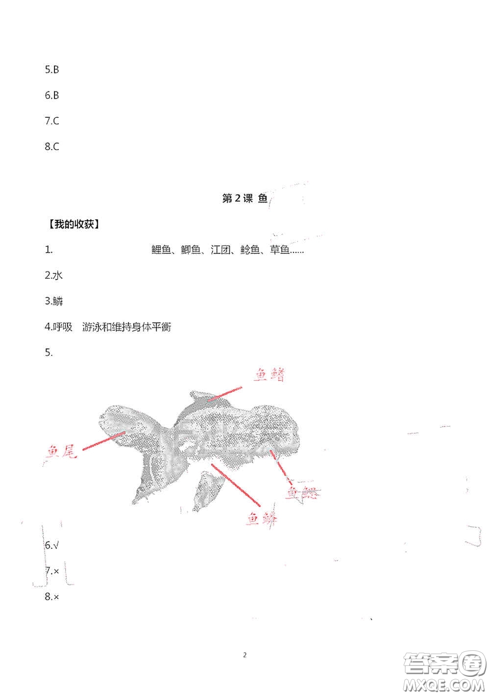 山東美術(shù)出版社2020新課堂同步體驗(yàn)與探究四年級(jí)科學(xué)上學(xué)期人教版答案