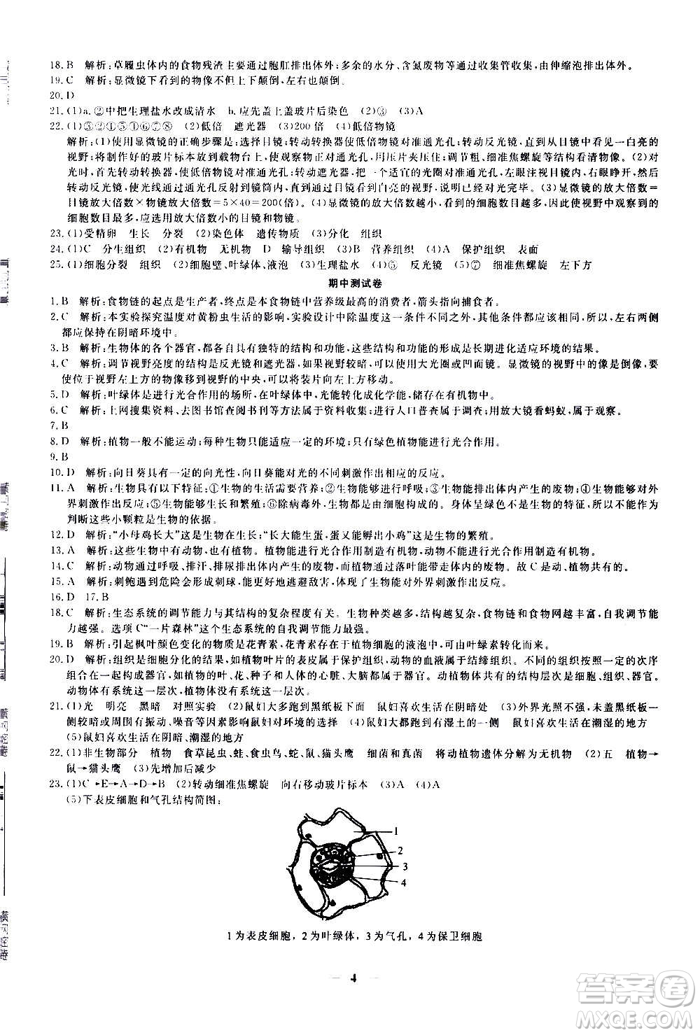 武漢出版社2020年黃岡密卷生物七年級(jí)上冊RJ人教版答案