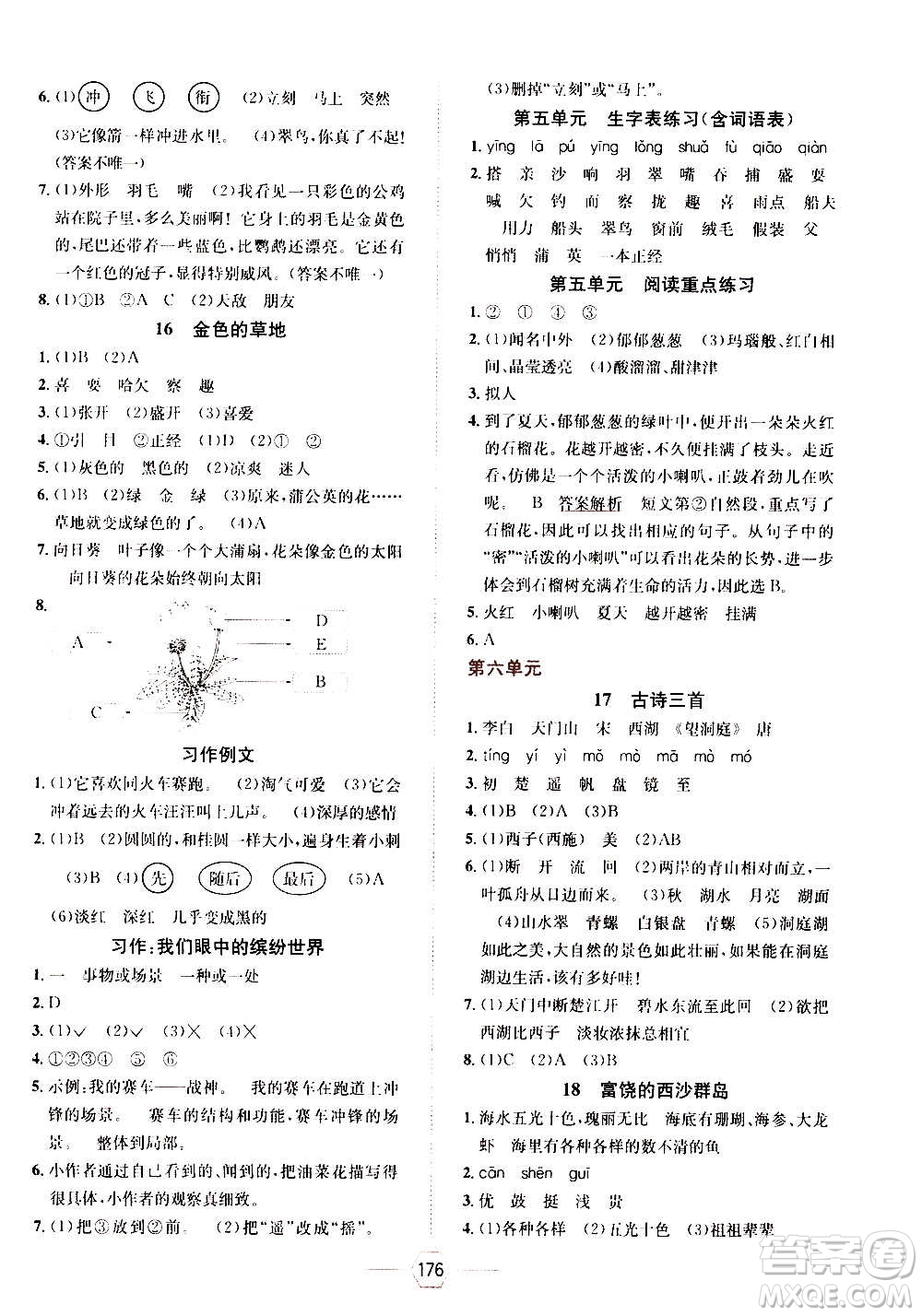 現(xiàn)代教育出版社2020年走向優(yōu)等生三年級(jí)語(yǔ)文上冊(cè)部編版答案