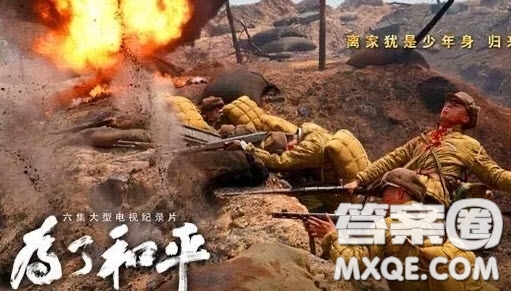 為了和平紀錄片觀后感800字 關于《為了和平》紀錄片的觀后感800字