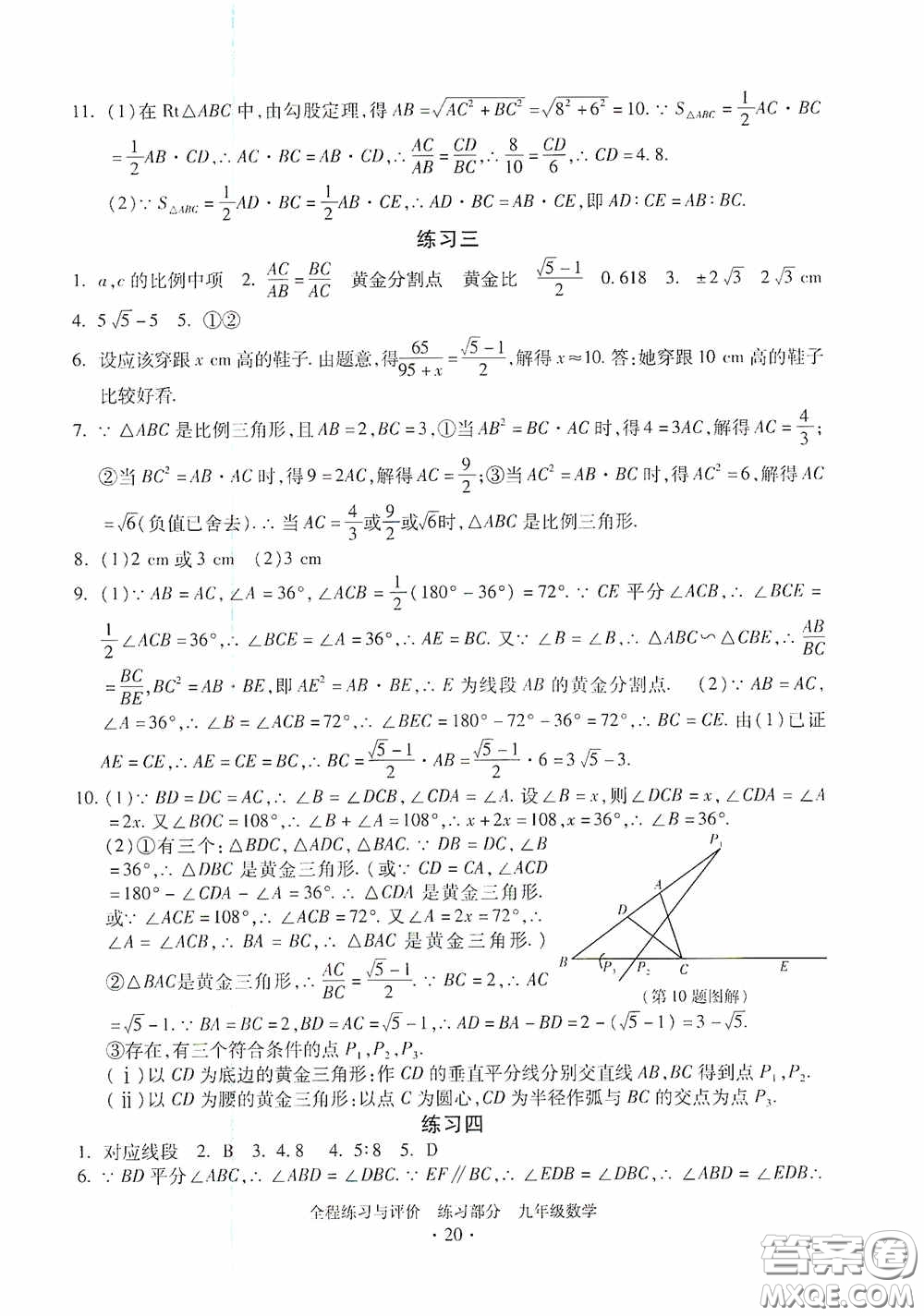 浙江人民出版社2020全程練習(xí)與評價九年級數(shù)學(xué)全一冊ZH版答案