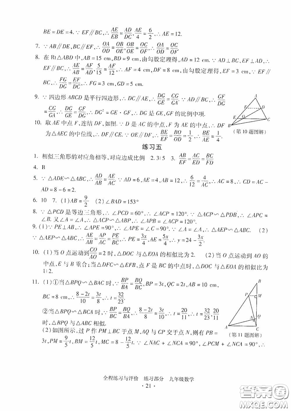 浙江人民出版社2020全程練習(xí)與評價九年級數(shù)學(xué)全一冊ZH版答案