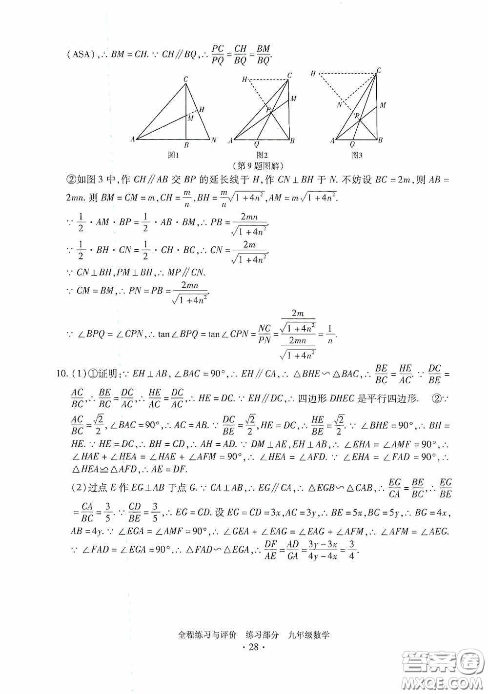 浙江人民出版社2020全程練習(xí)與評價九年級數(shù)學(xué)全一冊ZH版答案