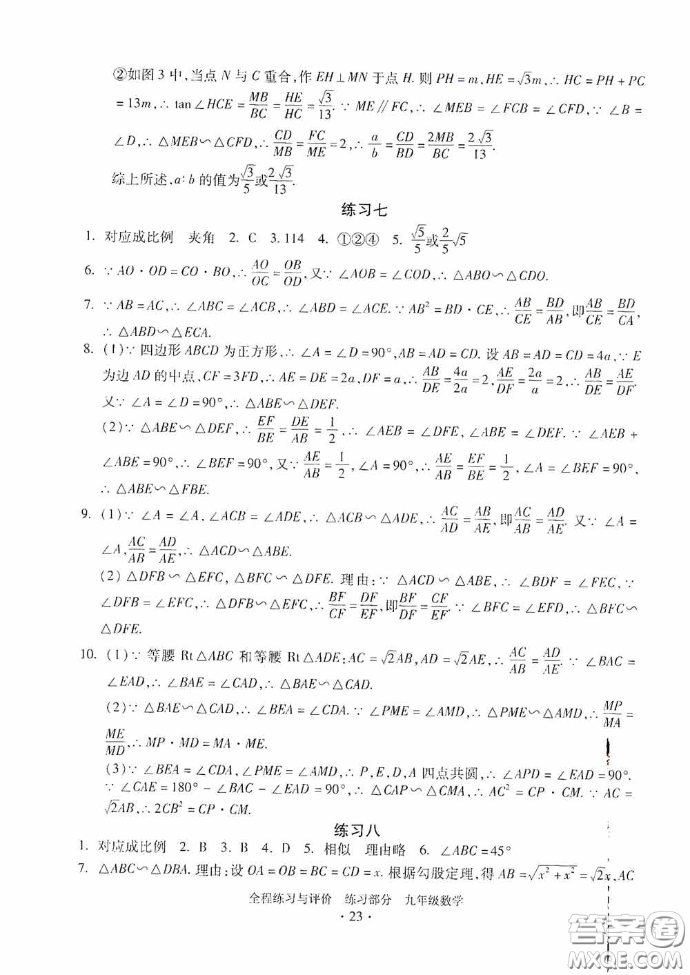 浙江人民出版社2020全程練習(xí)與評價九年級數(shù)學(xué)全一冊ZH版答案