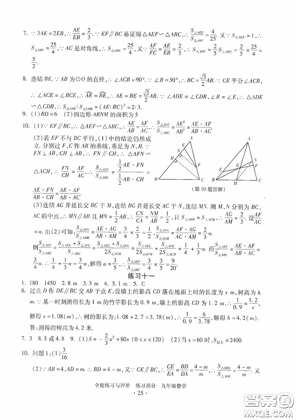 浙江人民出版社2020全程練習(xí)與評價九年級數(shù)學(xué)全一冊ZH版答案