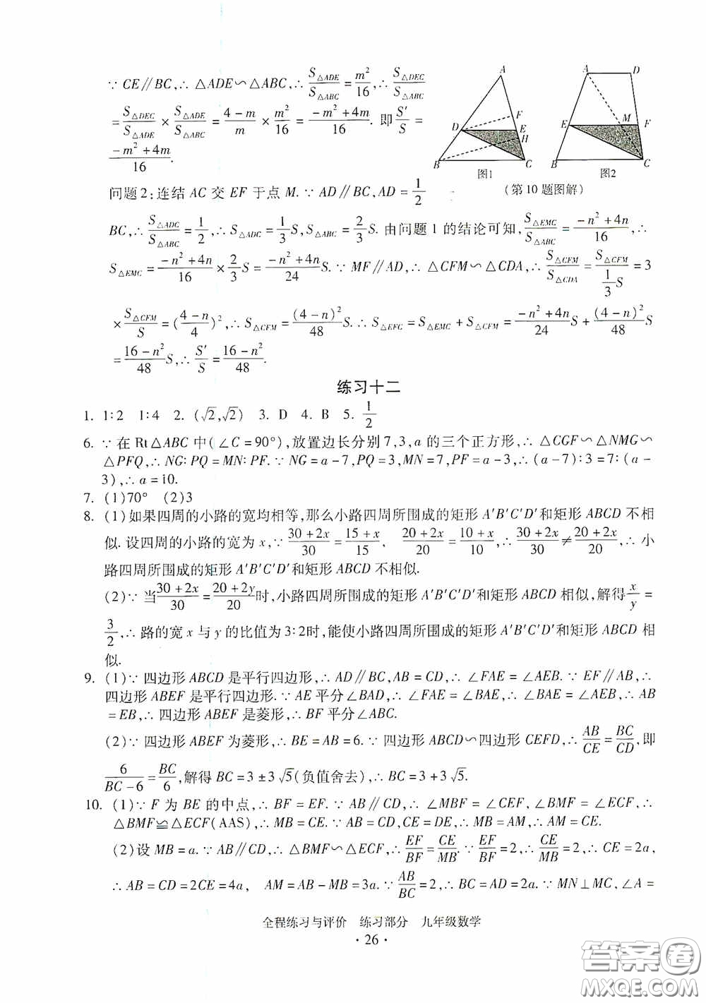 浙江人民出版社2020全程練習(xí)與評價九年級數(shù)學(xué)全一冊ZH版答案