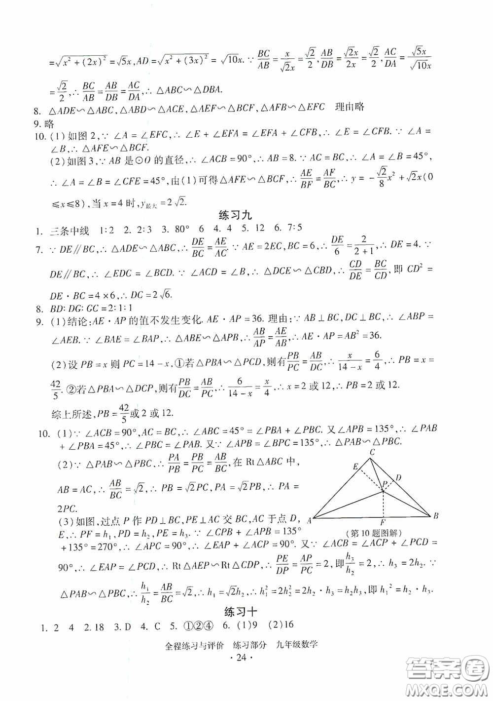 浙江人民出版社2020全程練習(xí)與評價九年級數(shù)學(xué)全一冊ZH版答案