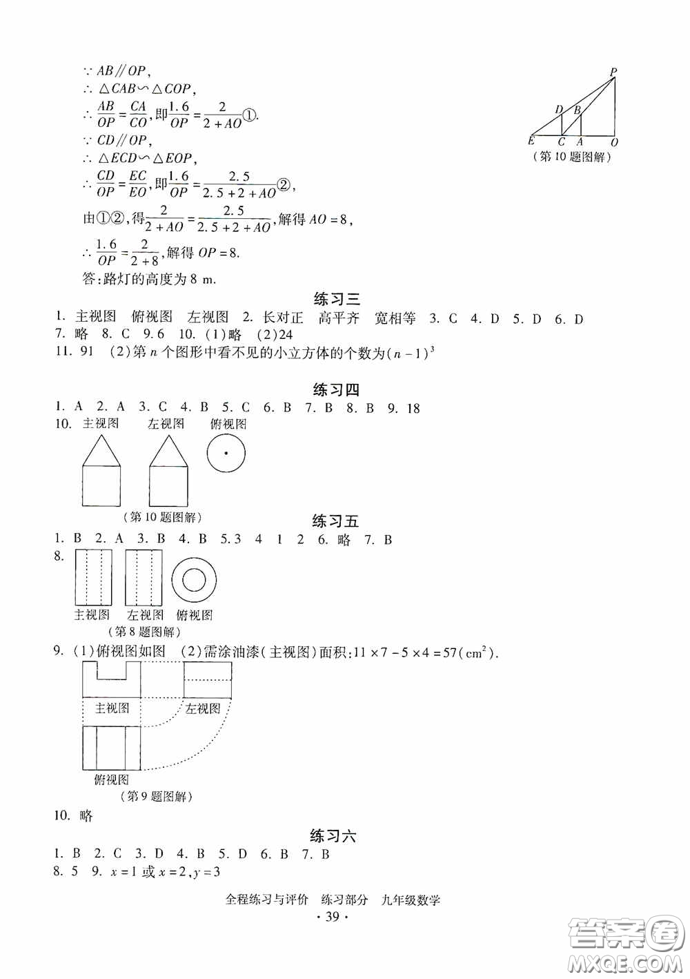 浙江人民出版社2020全程練習(xí)與評價九年級數(shù)學(xué)全一冊ZH版答案