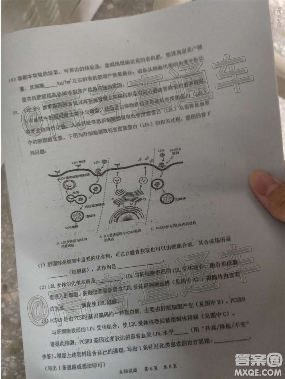 惠州市2021屆高三第二次調(diào)研考試生物試題及答案