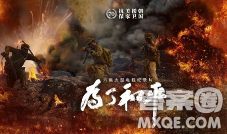 為了和平紀錄片觀后感1000字 關(guān)于為了和平紀錄片的觀后感1000字