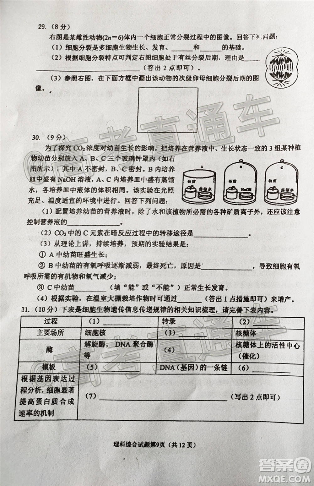 綿陽市高中2018級(jí)第一次診斷性考試?yán)砜凭C合試題及答案