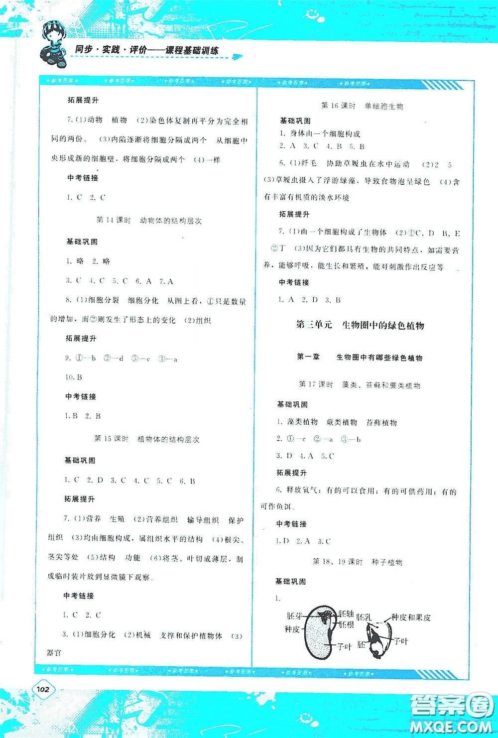 湖南少年兒童出版社2020課程基礎(chǔ)訓(xùn)練七年級(jí)生物上冊(cè)人教版答案