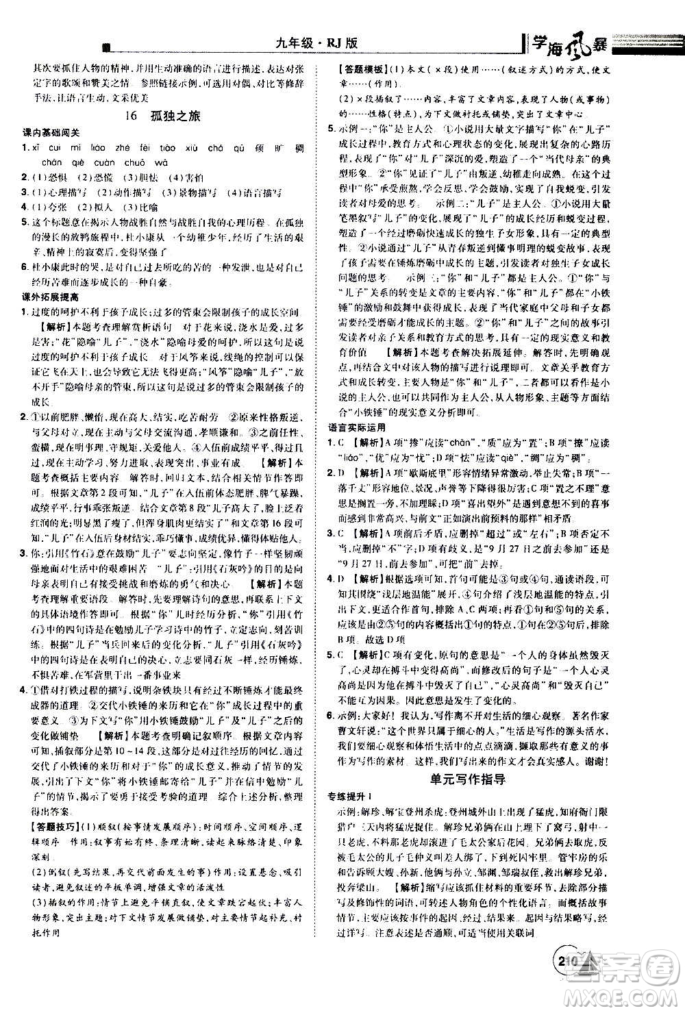江西美術(shù)出版社2020學(xué)海風(fēng)暴語文九年級上冊RJ人教版答案